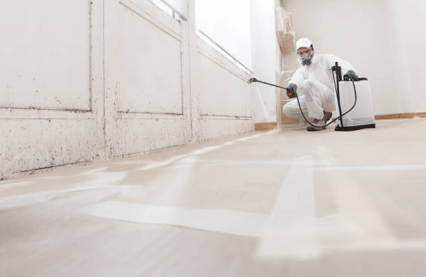 24/7 Emergency Mold Remediation experts in Mount Airy, NC