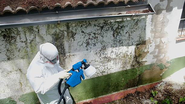 Top rated local Mold Remediation specialists in Mount Airy, NC
